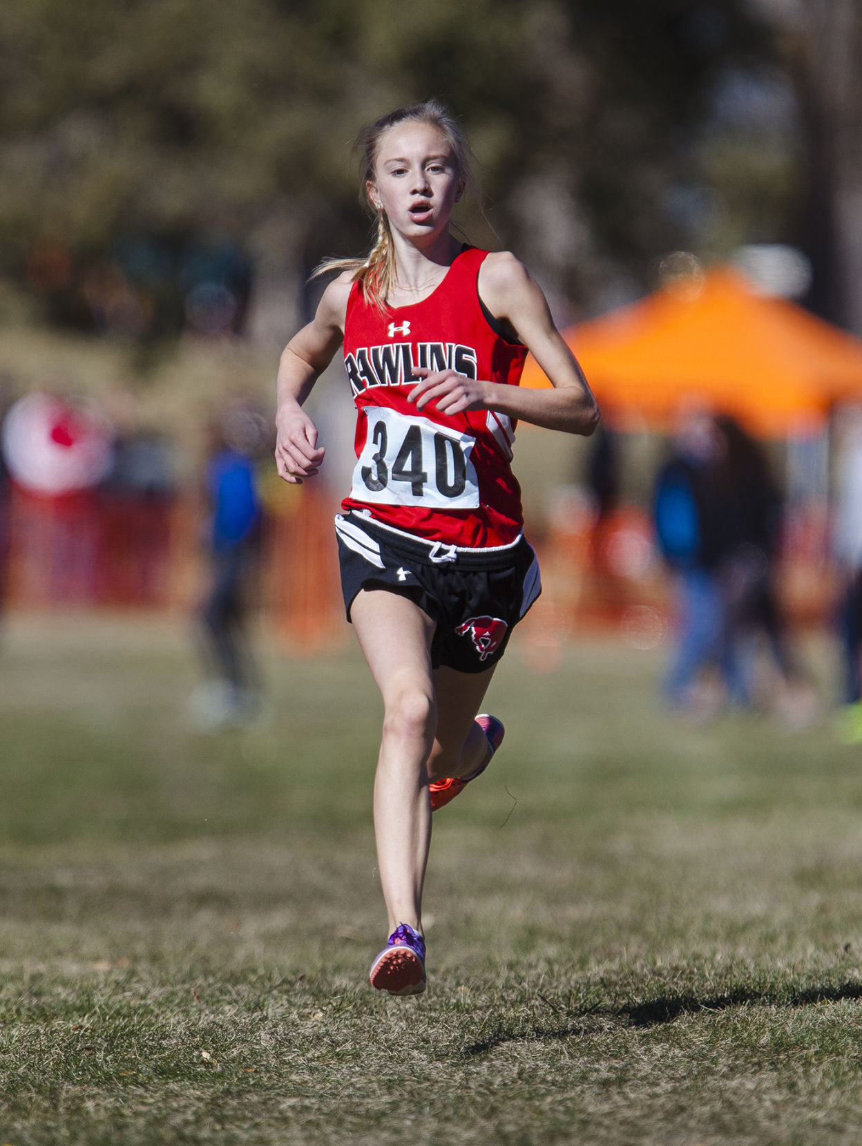 State Cross Country Championships